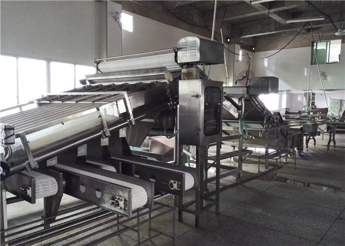 Xiamen Tongzhonghe Imp & Exp Co., Ltd. 업체 생산 라인