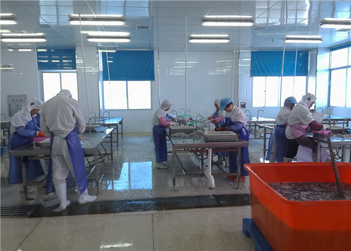 Xiamen Tongzhonghe Imp & Exp Co., Ltd. 업체 생산 라인
